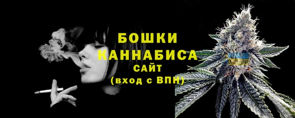 apvp Белокуриха