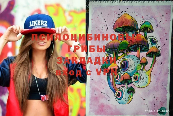 твердый Семёнов